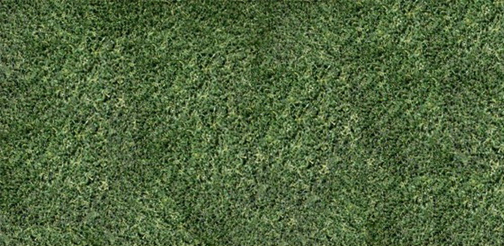 putting green turf