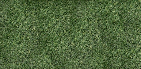 putting green turf