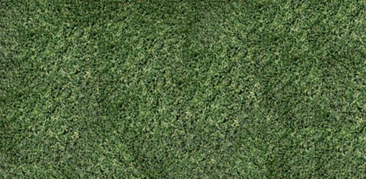 putting green turf