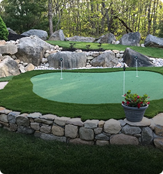DIY Backyard Greens