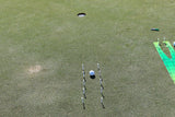 IMG_3910_1800x1800