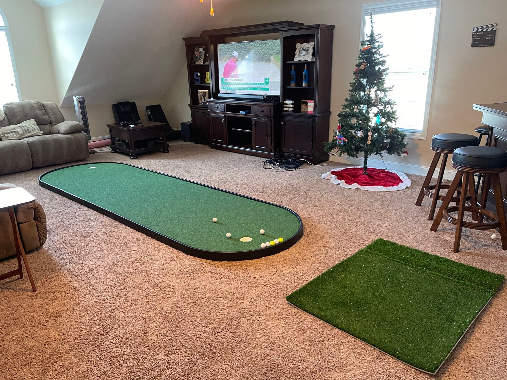 4x14 Indoor Putting Green