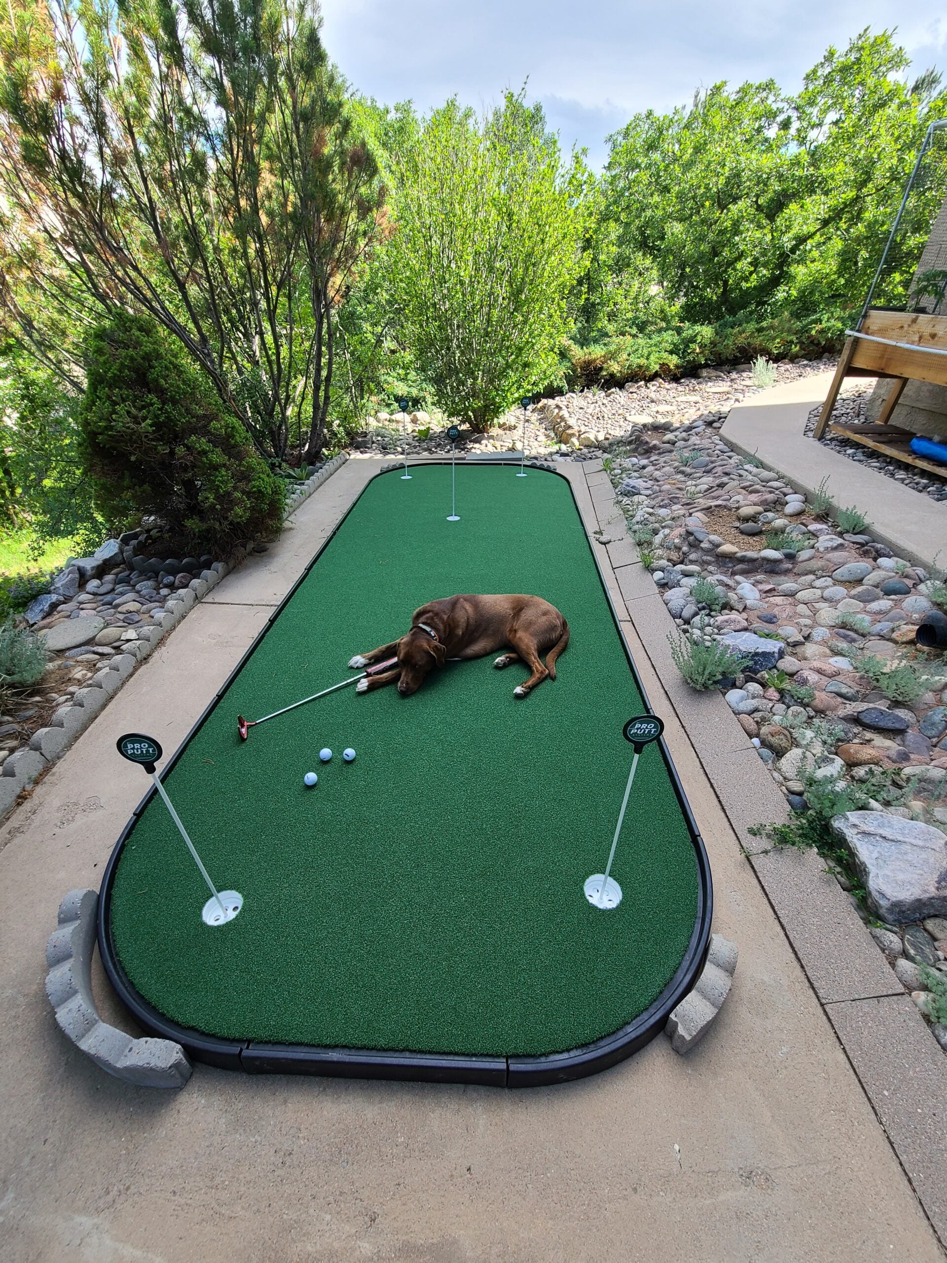 Personal Putt and Chip Complex Green