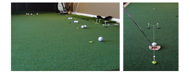 Indoor Putting Turf